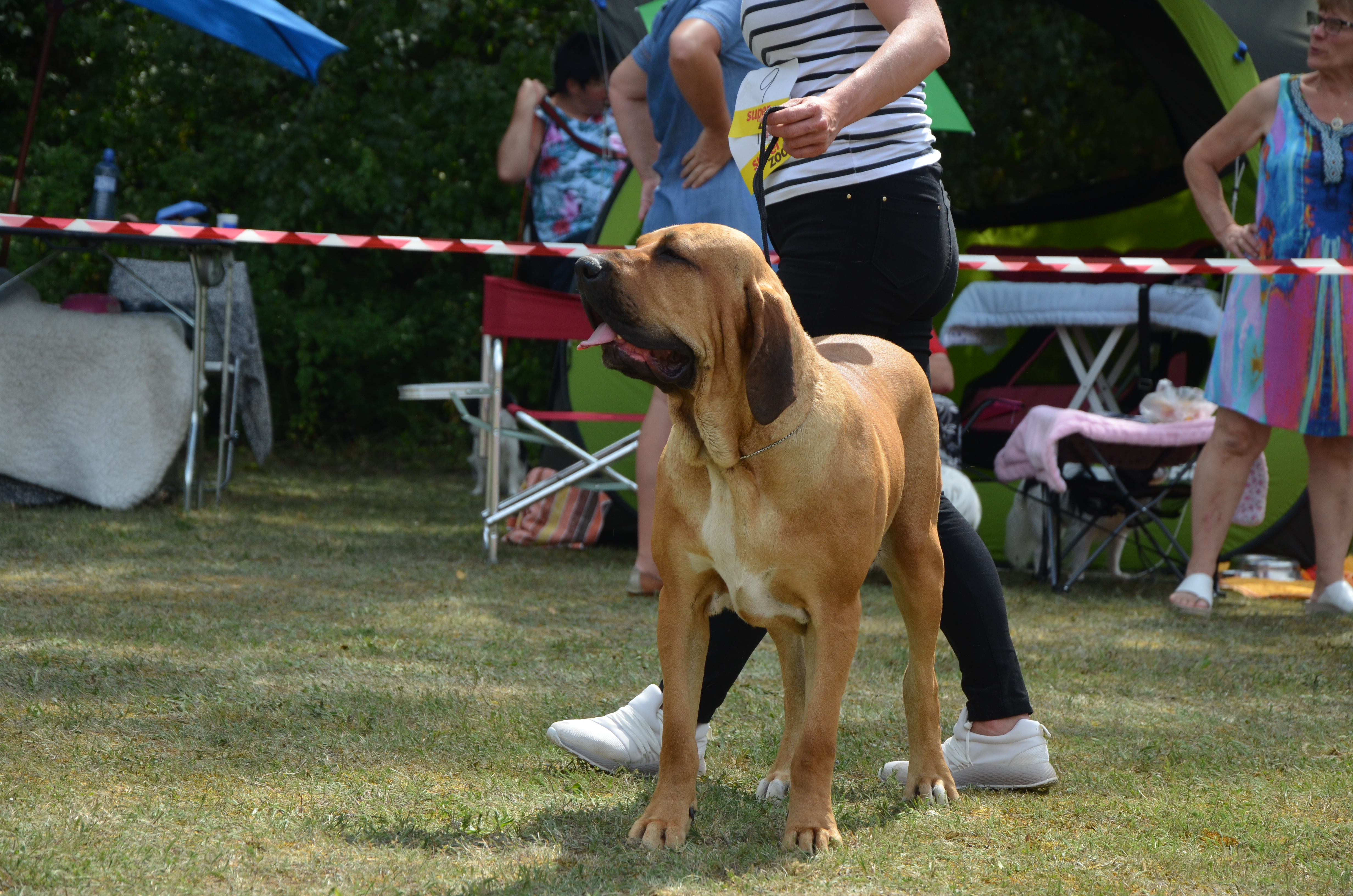 DSC_0059 (2)