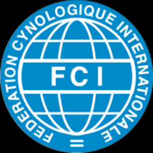 fci-logo.png