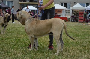 dsc_0660.jpg